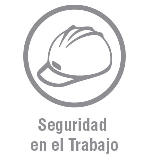 seguridad